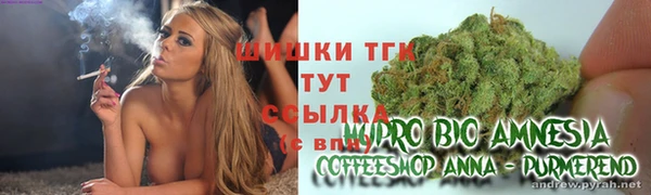 крисы Володарск