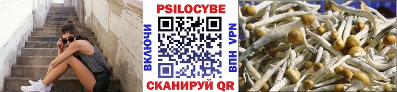 Галлюциногенные грибы Psilocybine cubensis  kraken ссылки  Давлеканово 